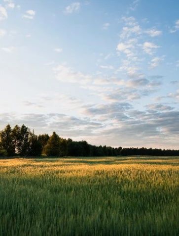 微信图片_20231009093354