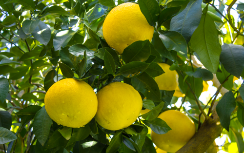 微信图片_20231030110352