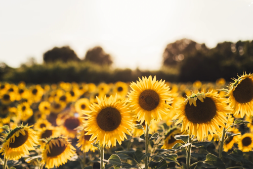 微信图片_20231113095352