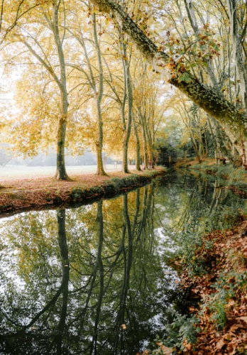 微信图片_20231117100449