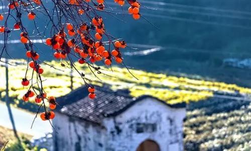 微信图片_20231117100520