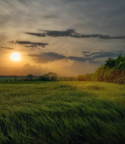 微信图片_20231128095540