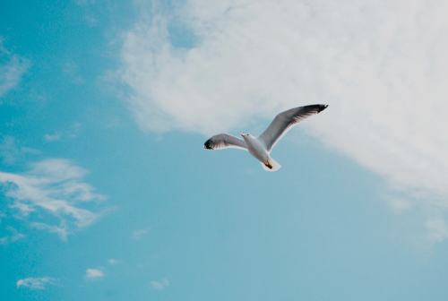 微信图片_20231204094611