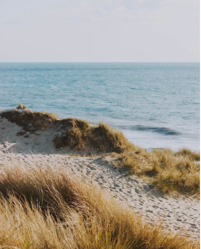 微信图片_20231218143020