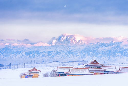 微信图片_20231225100446