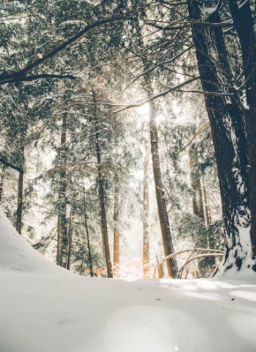 微信图片_20240108094723