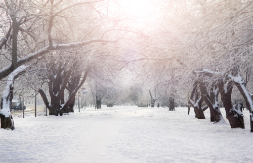 微信图片_20240115093324