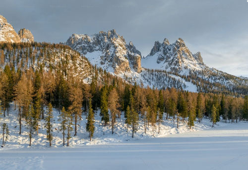 微信图片_20240122101015