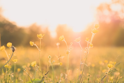 微信图片_20240205095548