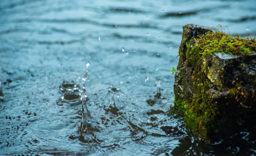 微信图片_20240226101838