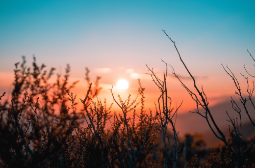 微信图片_20240304101040