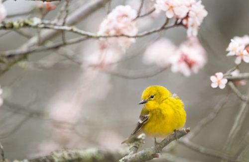 微信图片_20240315142141