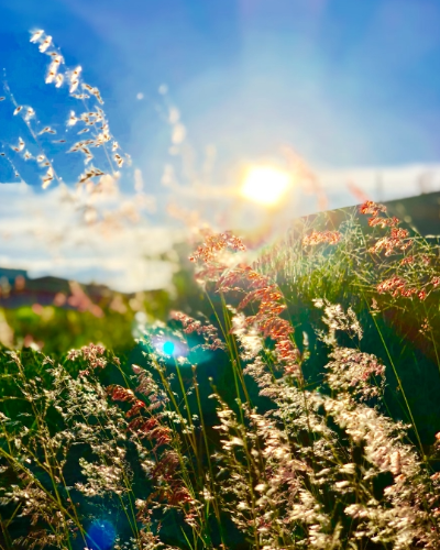 微信图片_20240315142155