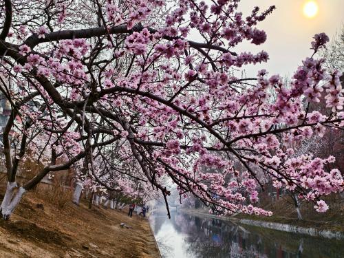 微信图片_20240318162855