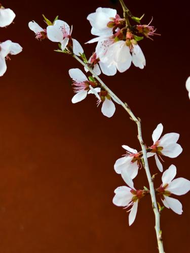 微信图片_20240329150003