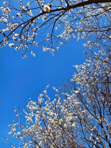 微信图片_20240407114641