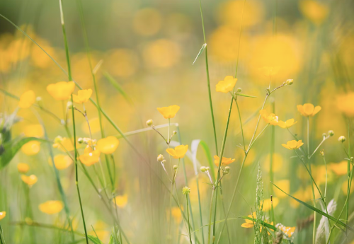 微信图片_20240408094802