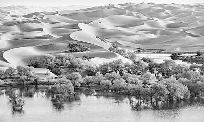 res1411_attpic_brief