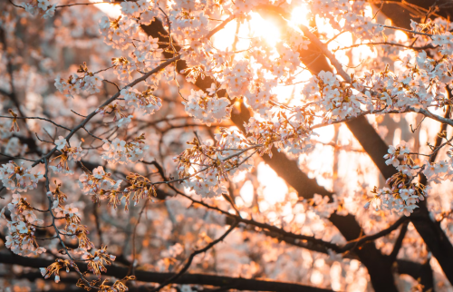 微信图片_20240412143719