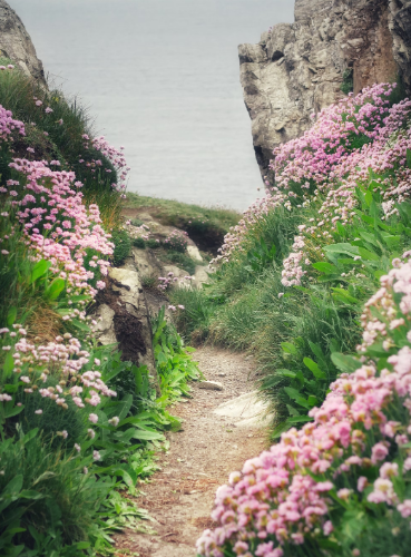 微信图片_20240513101340