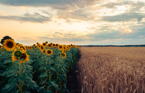 微信图片_20240520112606