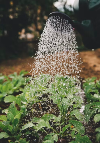 微信图片_20240527094928