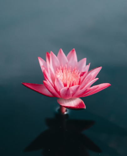 微信图片_20240805102835