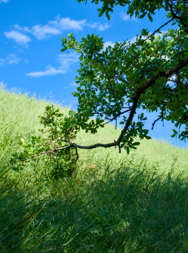 微信图片_20240812123322