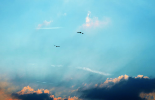 微信图片_20241216160644