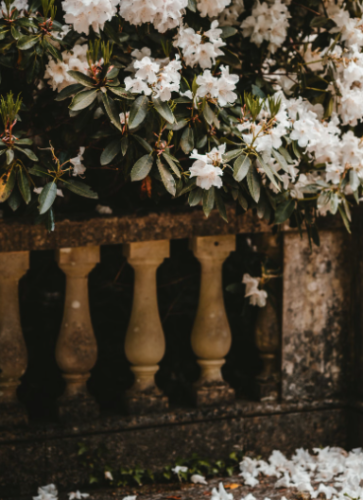 微信图片_20241223160756