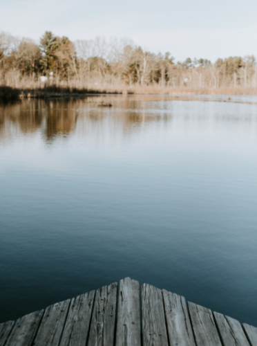 微信图片_20241223160825