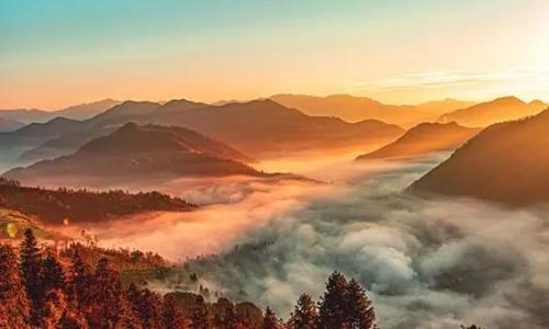 微信图片_20250106155218