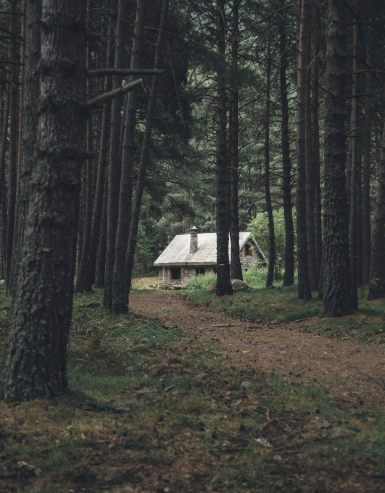 微信图片_20250113164541