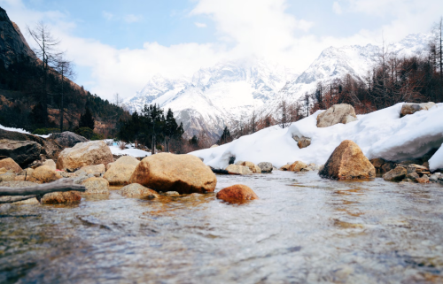 微信图片_20250113164555