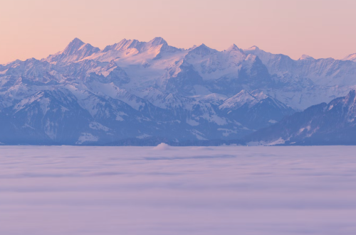 微信图片_20250120155411