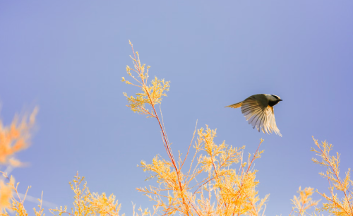 微信图片_20250217134636