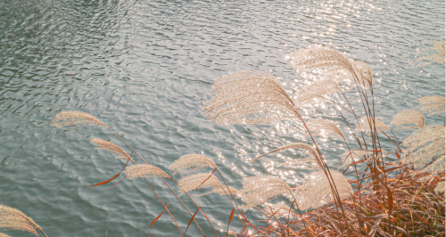 微信图片_20250217134712