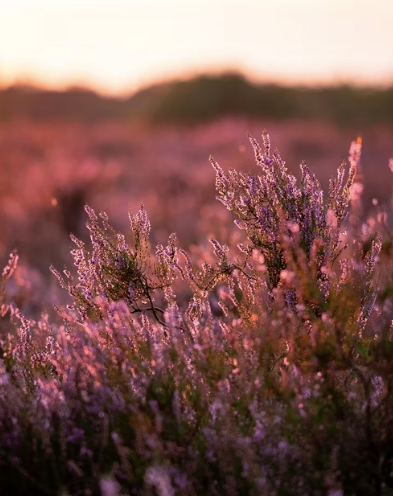 微信图片_20250304152535