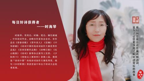 时海琴03
