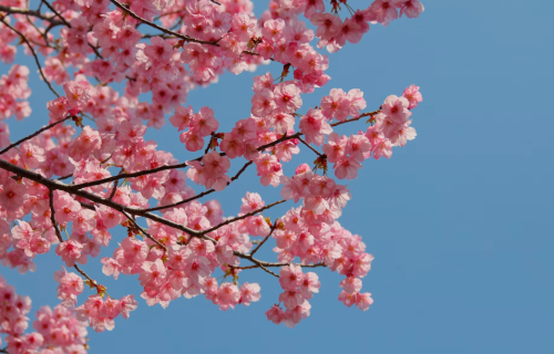 767e72ab511ba513d0e2bcc0d47ea72c