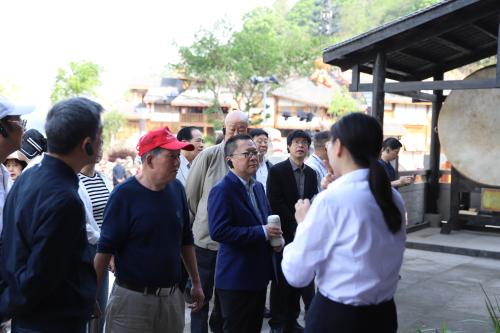 2025.4.27 第十六届“青春回眸”诗会嘉宾、高校嘉宾前往沿口古镇采风 (10)