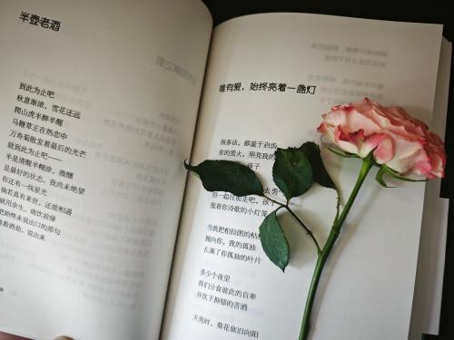 微信图片_20250514181844