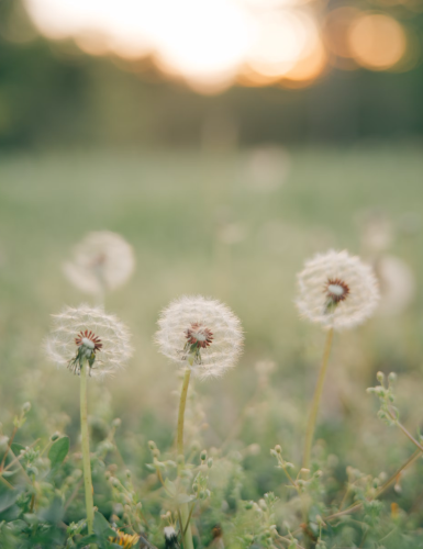 微信图片_20250609150043