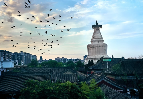 微信截图_20250616164004