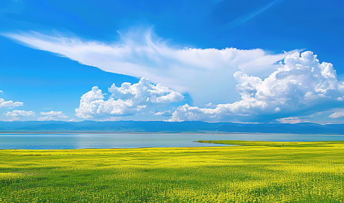 微信图片_20250623141807