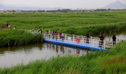 微信图片_2025-07-17_101310_100