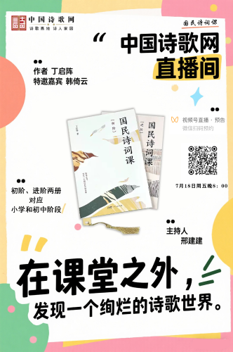 国民诗词课海报
