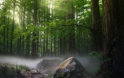 微信图片_2025-08-18_153221_700