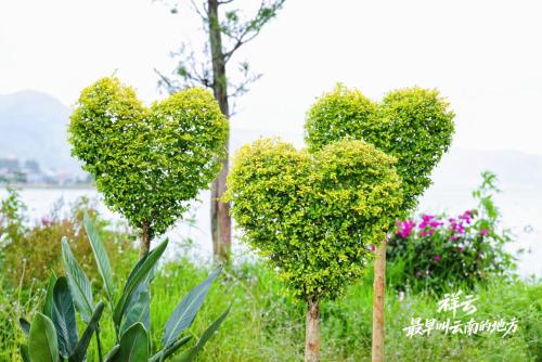 wechat_2025-08-29_195447_528