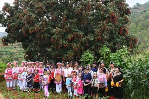 cc66014f-f316-4fad-b4a5-e3238a1a6552